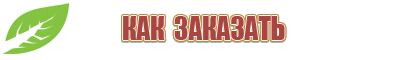 Аппараты Скэнар
